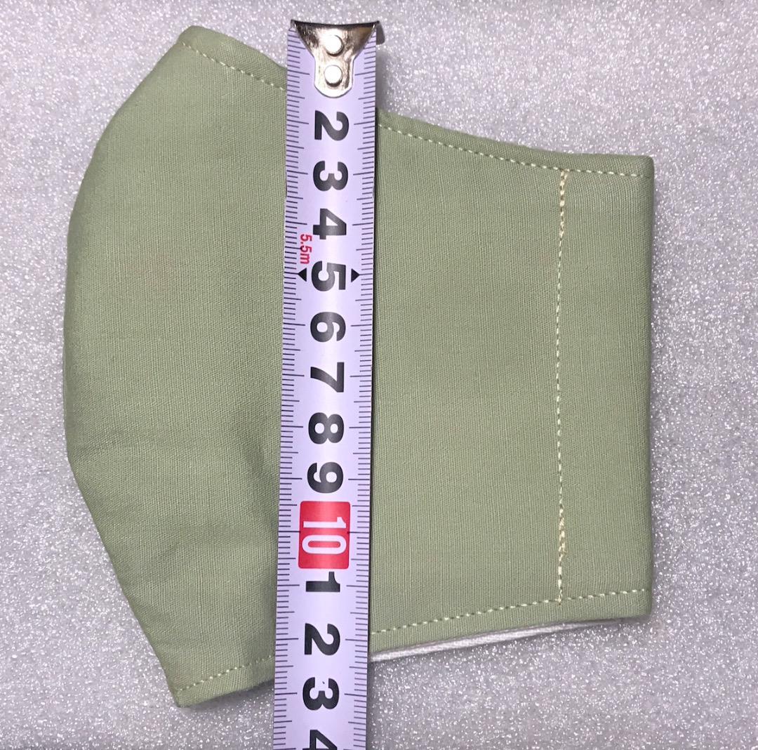 【淡緑】ハンドメイド 大人用 立体 インナーマスク 手作り