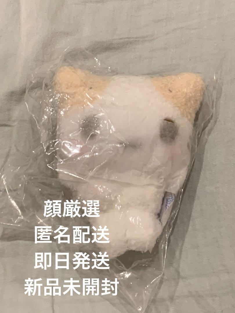 新品　サンリオ　ネコの会　マスコットホルダー　マシュマロみたいなふわふわにゃんこ