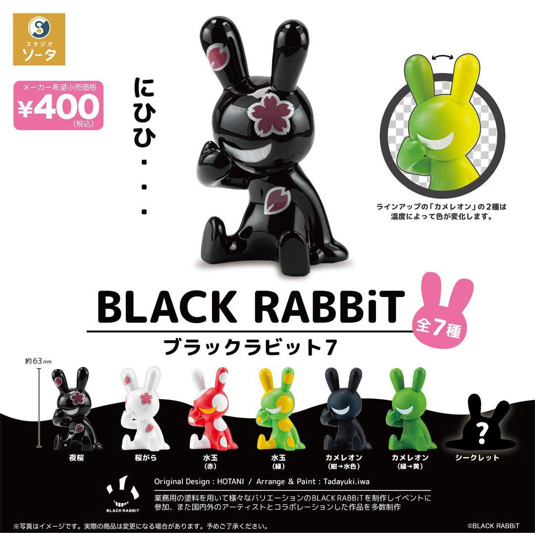 その他 70% BLACK RABBiT MAZIORA SET BLACK RABBiT WEB SHOP