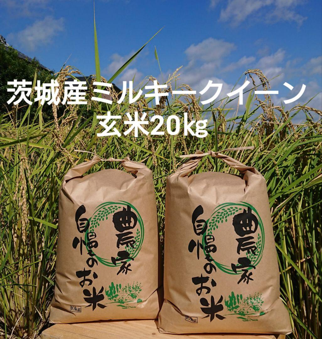 茨城令和5年産ミルキークイーン玄米20kg東北中国四国地方