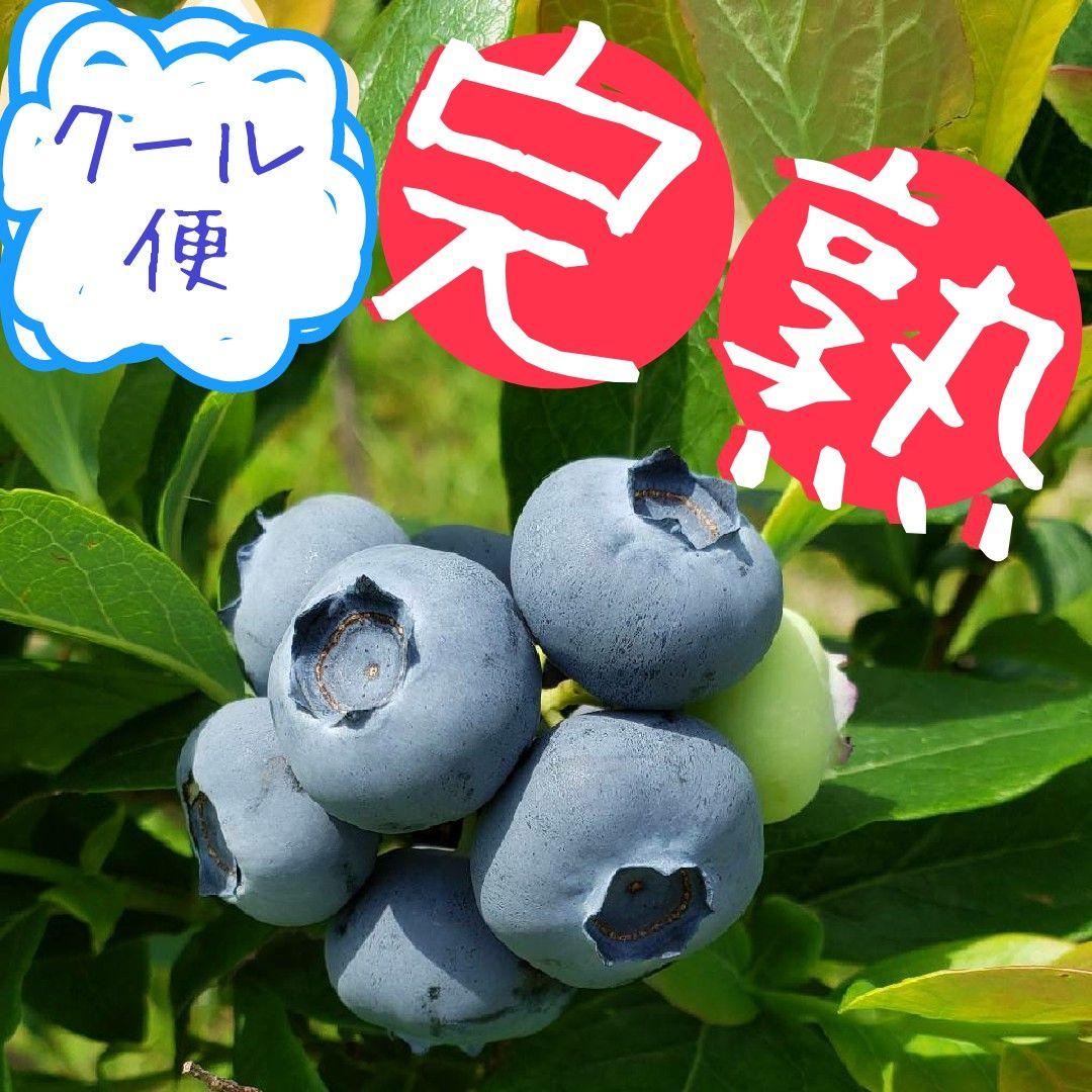 すらいむ　完熟生ブルーベリー15p