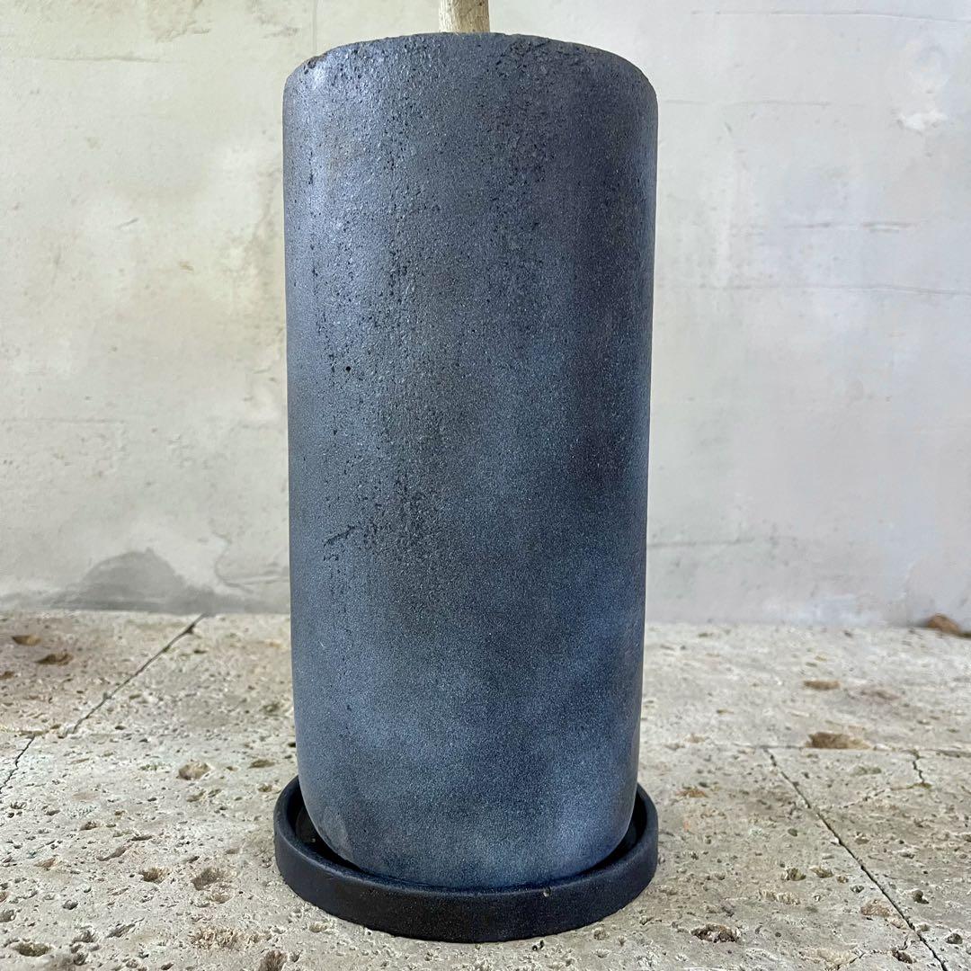 フィカス　ウンベラータ　スタンド仕立て　陶器鉢　植え込み発送