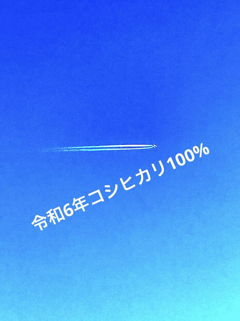 お米