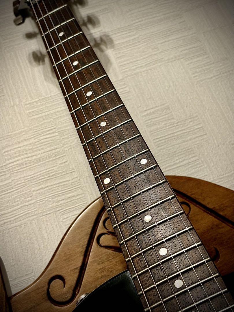 【ケース付・送料込み】Epiphone les paul special ii