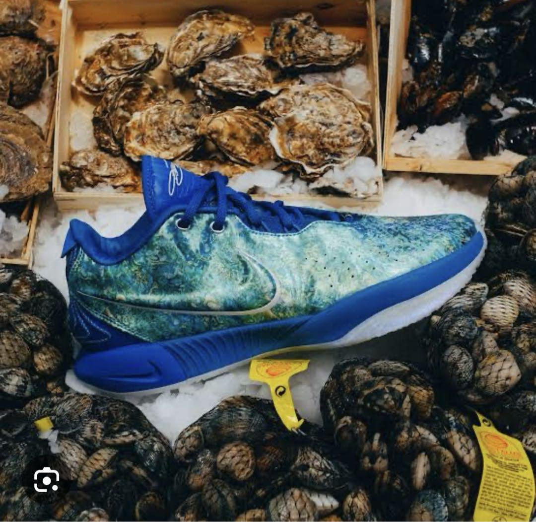 新品 最安値 NIKE NBA LeBron Abalone レブロン21
