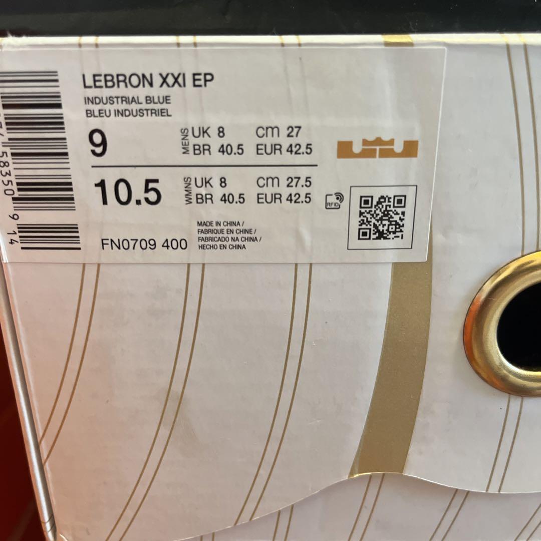 新品 最安値 NIKE NBA LeBron Abalone レブロン21