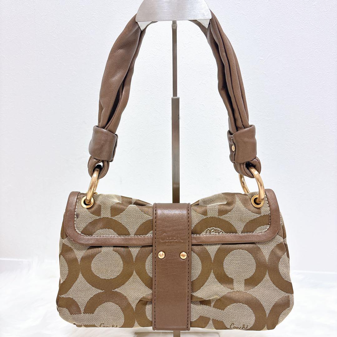 COACH コーチ　ワンショルダーバッグ　アクセサリーポーチ 希少カラー COACH コーチ ワンショルダー バッグ アクセサリー