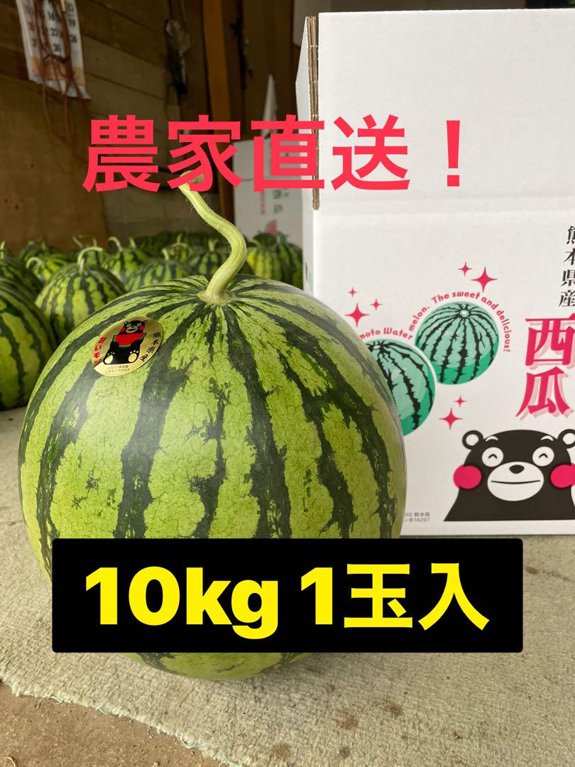農家直送❗️熊本県産大玉スイカ羅王ザスイート