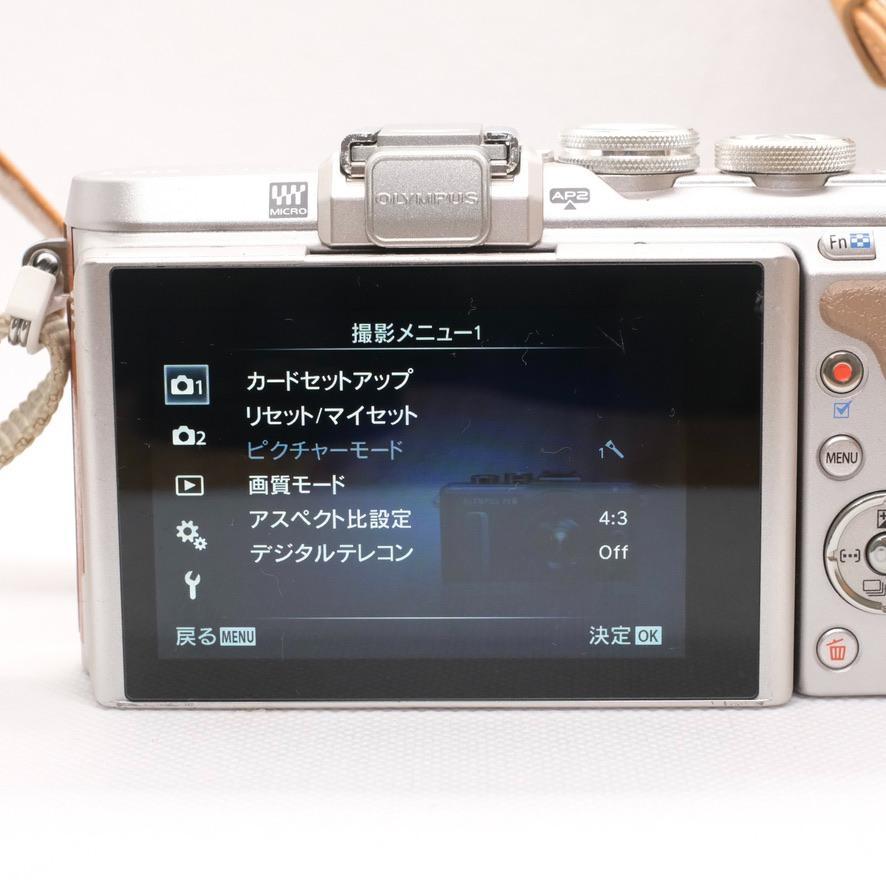 【新品級】OLYMPUS PEN E-PL8 レンズ付　本革ボディージャケット