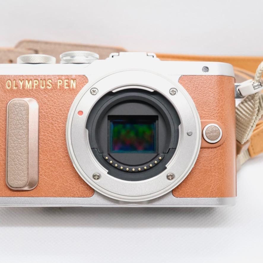 【新品級】OLYMPUS PEN E-PL8 レンズ付　本革ボディージャケット