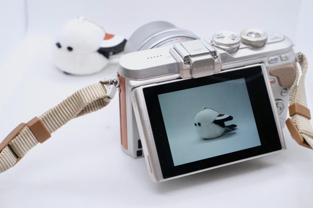 【新品級】OLYMPUS PEN E-PL8 レンズ付　本革ボディージャケット