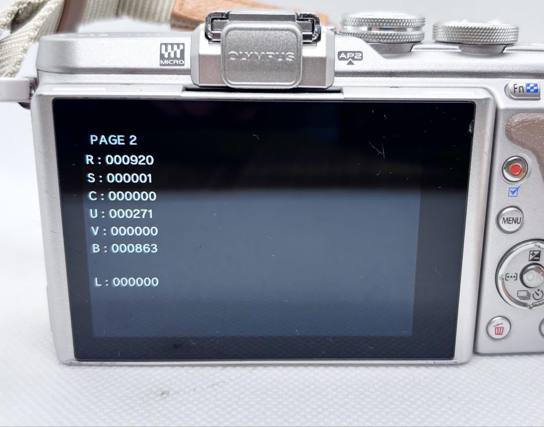 【新品級】OLYMPUS PEN E-PL8 レンズ付　本革ボディージャケット