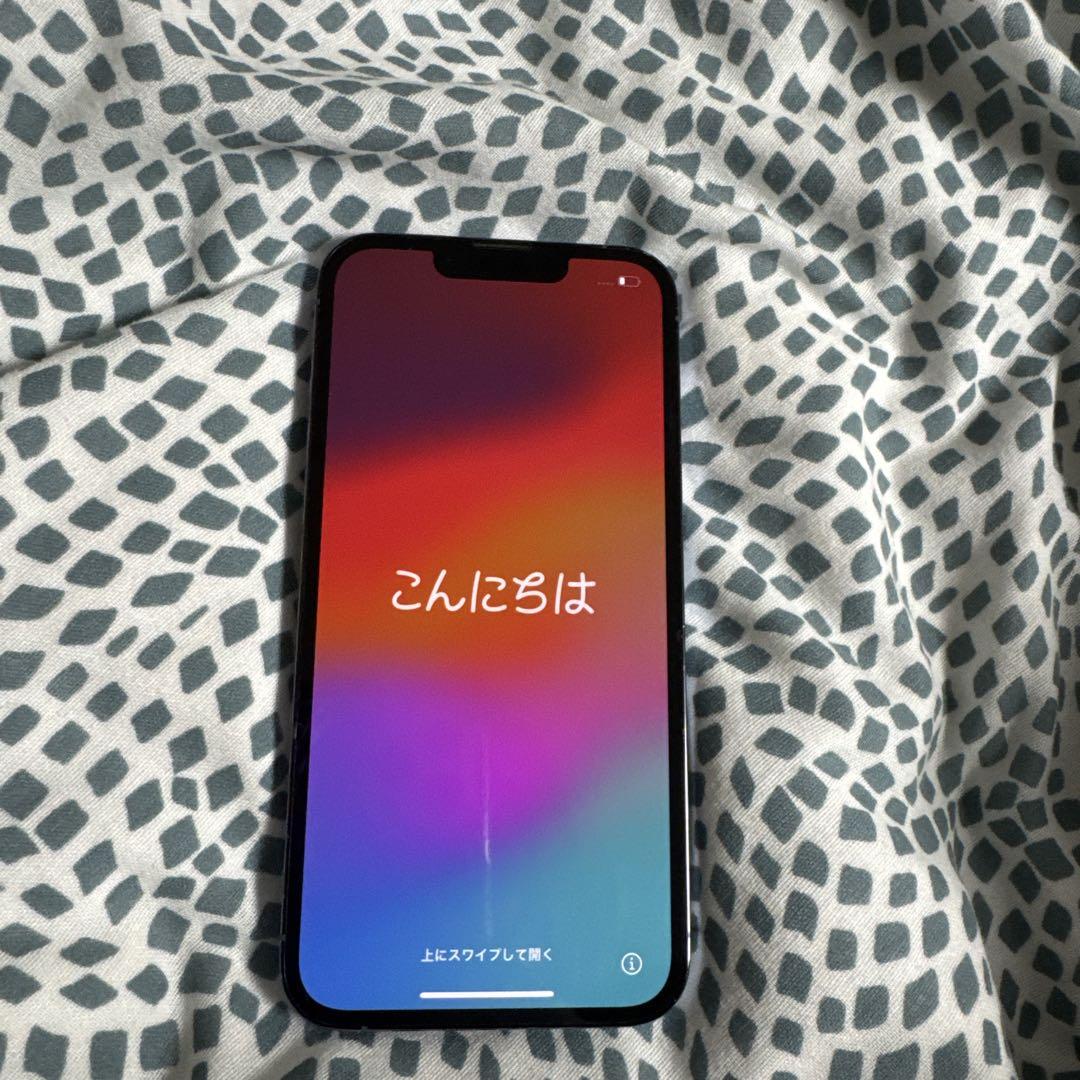 ちゃりさん専用 Apple iPhone 13 Pro グラファイト