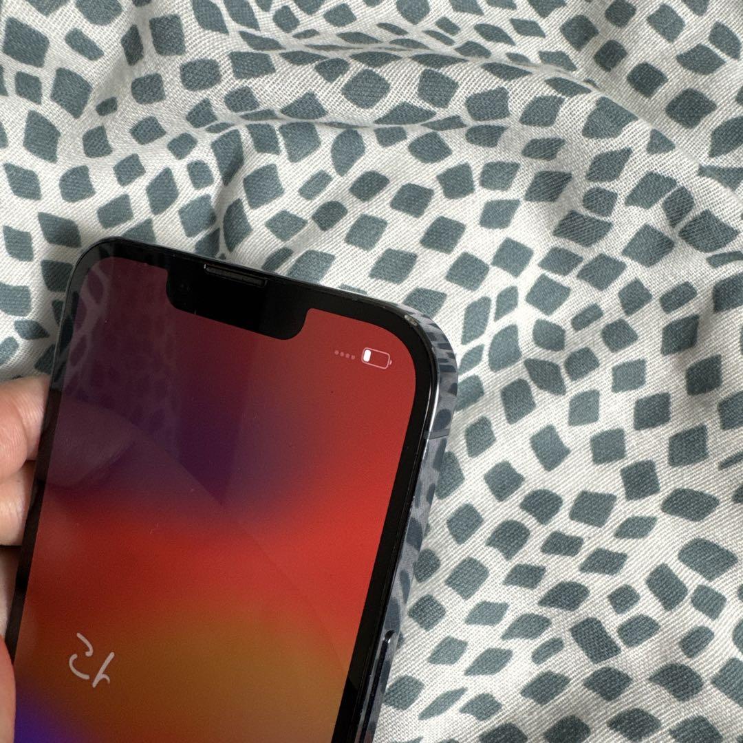 ちゃりさん専用 Apple iPhone 13 Pro グラファイト