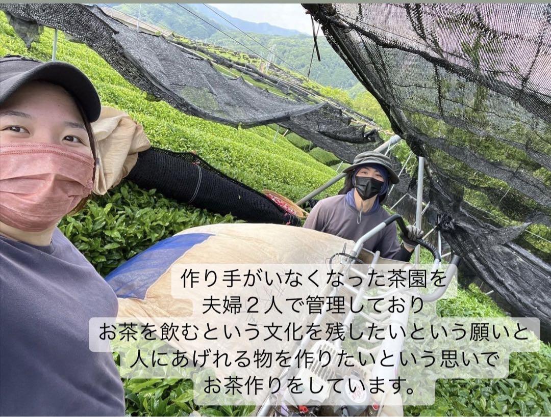 【無農薬】パウダー5種類飲み比べセット(15本)化学肥料・除草剤・畜産堆肥不使用