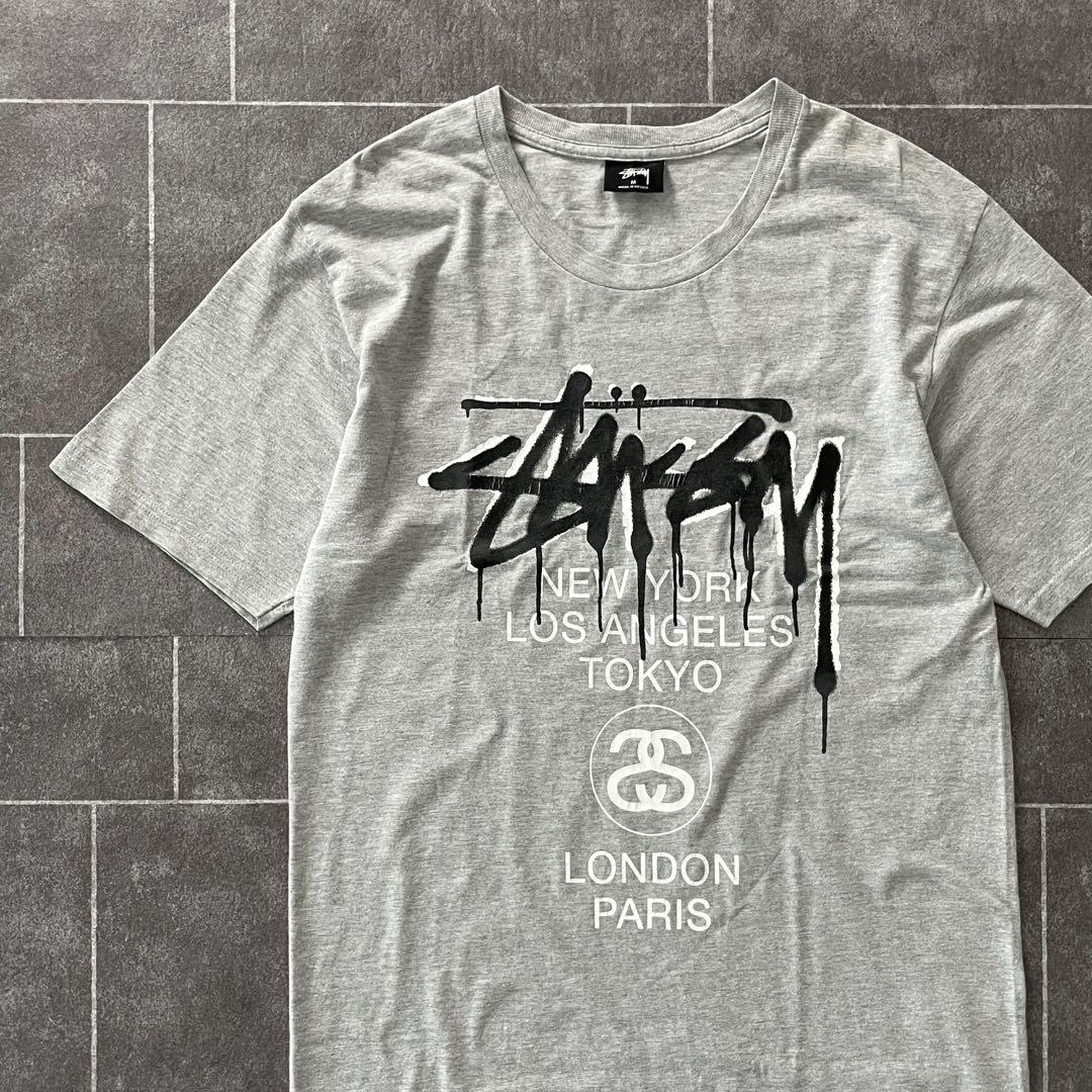 STUSSY ステューシー world tour s/s Tシャツ グレー