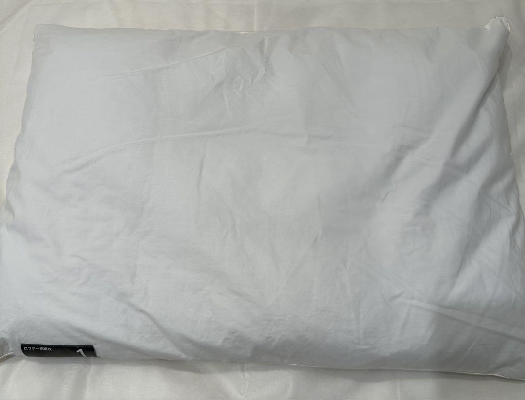 ロフテー快眠枕　低反発炭パイプ1号 LT050 1号