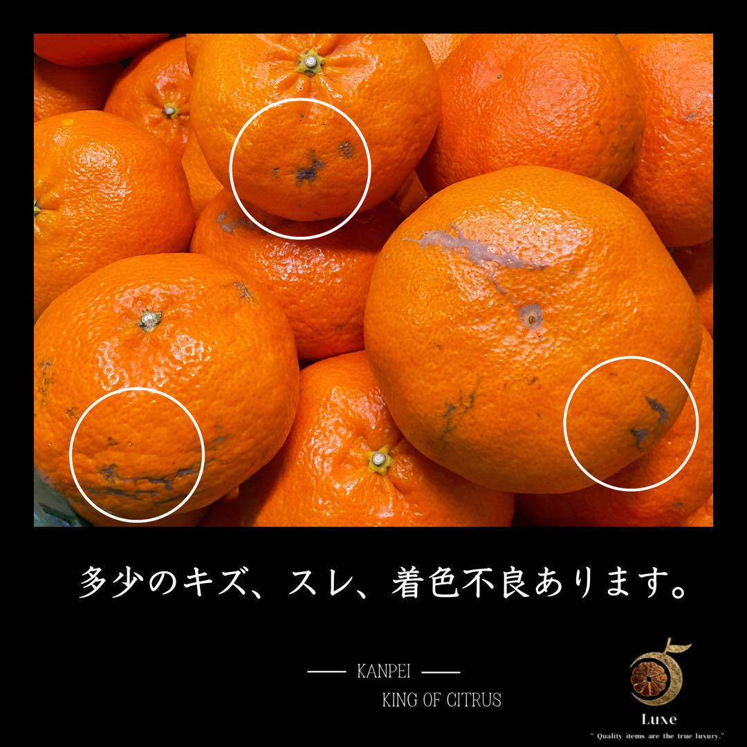 甘熟‼️愛媛産　甘平　秀品＋家庭用込み4kg今季は希少