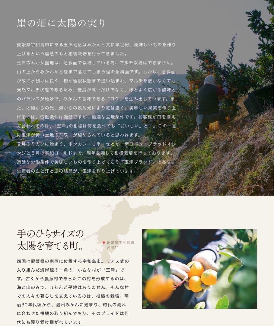 甘熟‼️愛媛産　甘平　秀品＋家庭用込み4kg今季は希少