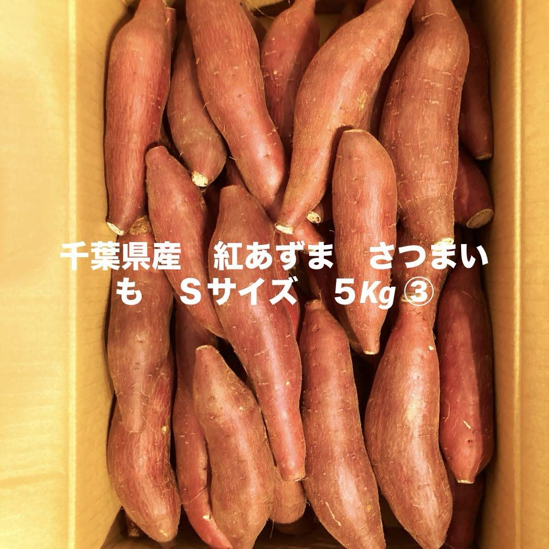 千葉県産 さつまいも 苗 紅あずま セット 千葉県産 さつまいも 苗 紅あずま 100本 - メルカリ
