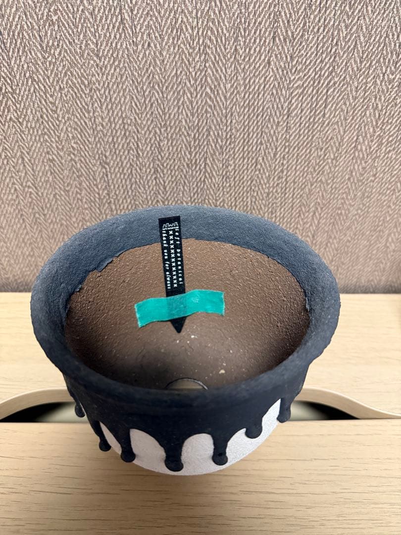 ☆ ほのぼのピクルス様専用☆クリスマスが待ち遠しいクマちゃん