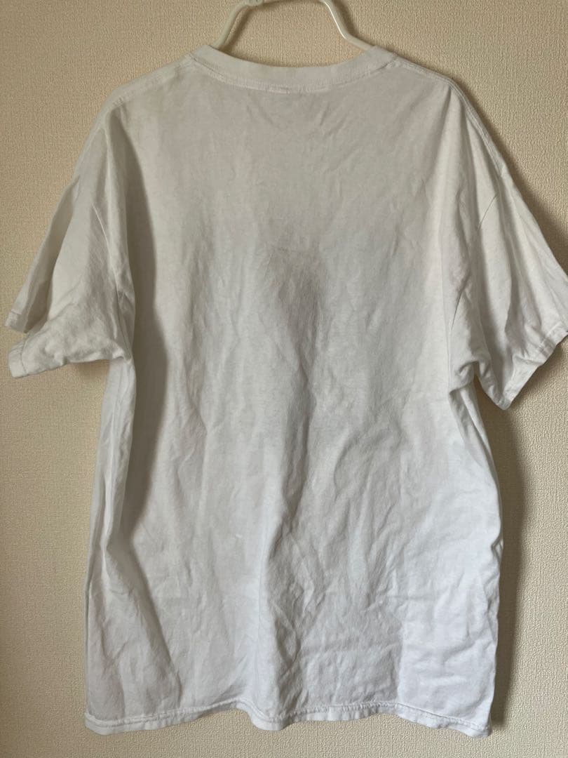 レア　Jeff Grosso フォトT Antihero スケボー　スケート