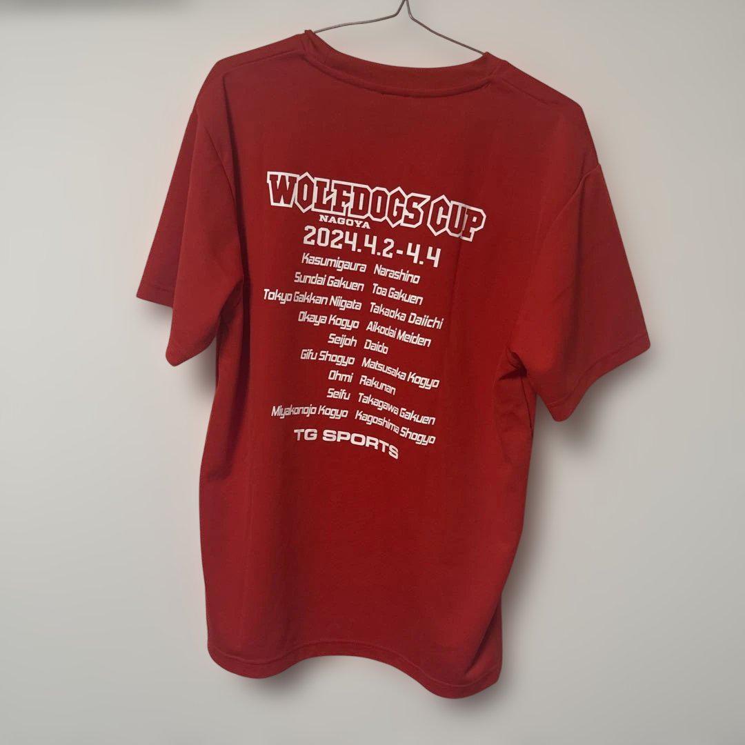 『 超希少』DESCENTE WOLFDOGS NAGOYA Tシャツ