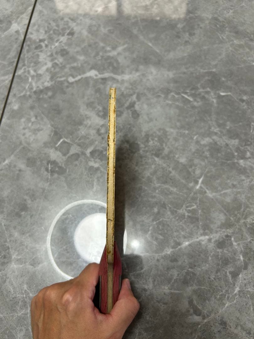 Butterfly 水谷隼 ZLC 卓球ラケット