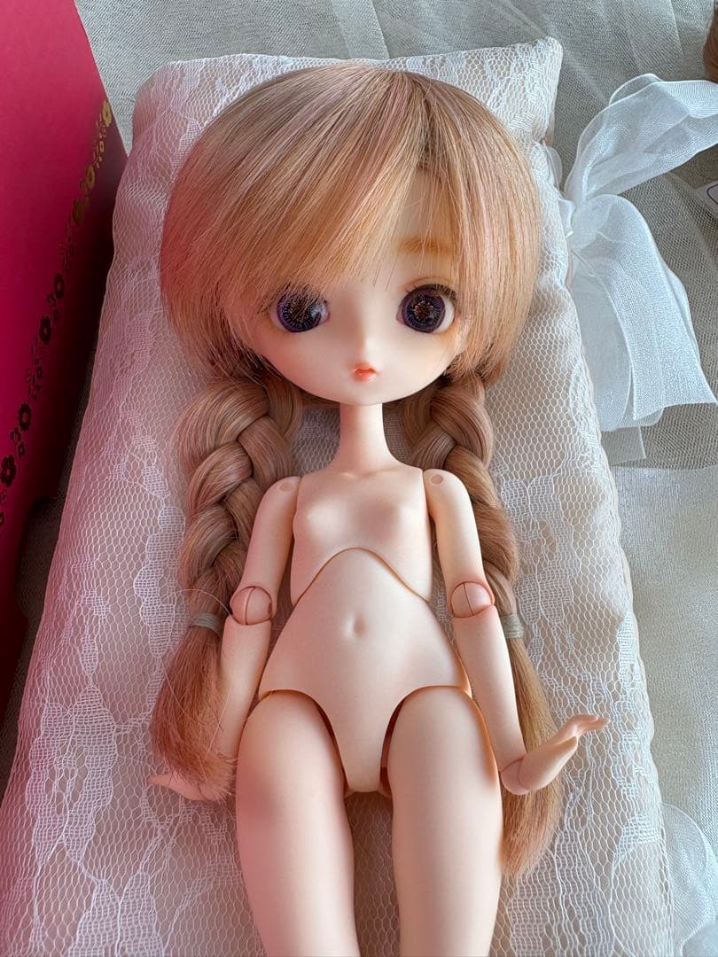 今日だけ価格 ハルモニアブルーム