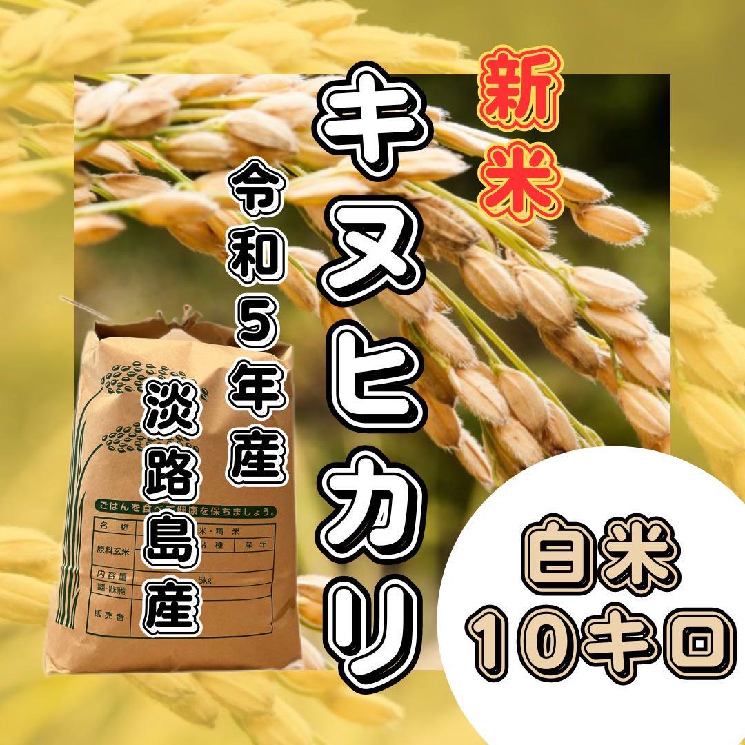 Amazon | 909 ガルニエ I 13個 アート缶 チョコレート