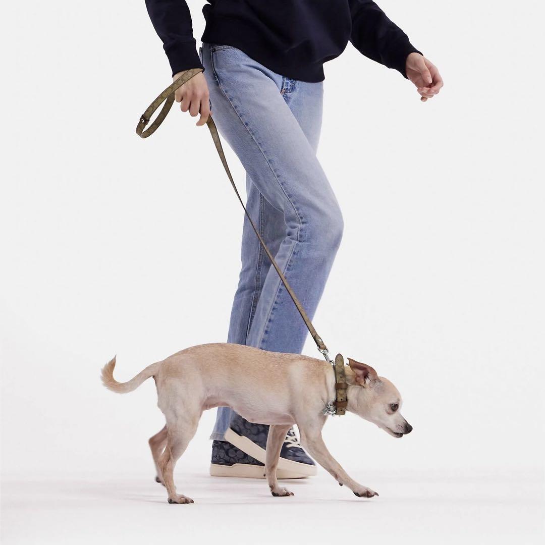 革 ボックス ラージ ペット リーシュ シグネチャー 犬用新品