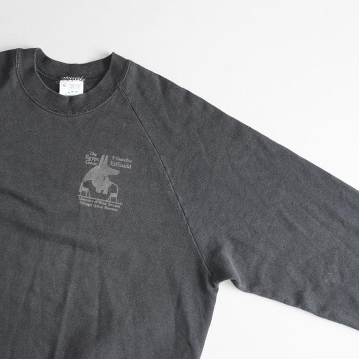 古着 90sビンテージ スウォンジー大学 アヌビス神ロゴ ラグランスウェット