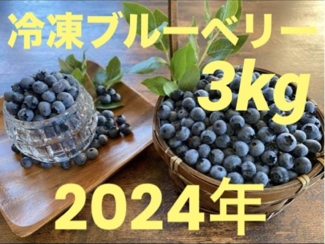 秋田県産　完全無農薬　ブルーベリー　3キロ 楽天市場】オーガニック 冷凍 ブルーベリー 3kg（200g×15パック