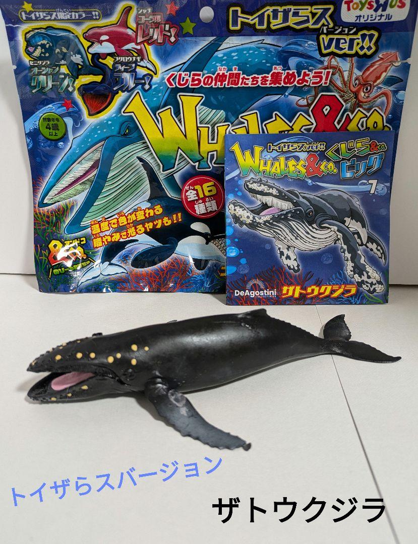 くじら & Co. トイザらスバージョン　8パック入り 1BOX／8袋】くじら＆Co.ビッグ (トイザらス限定ver.) 8袋入り