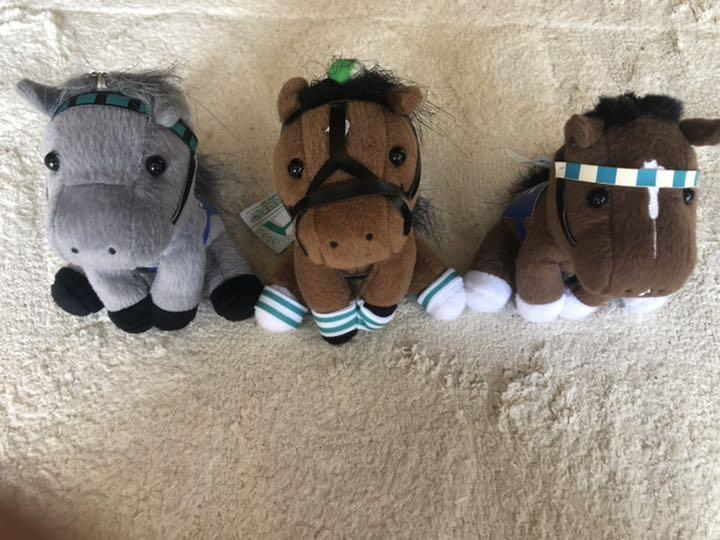 函館競馬場限定 アイドルホース