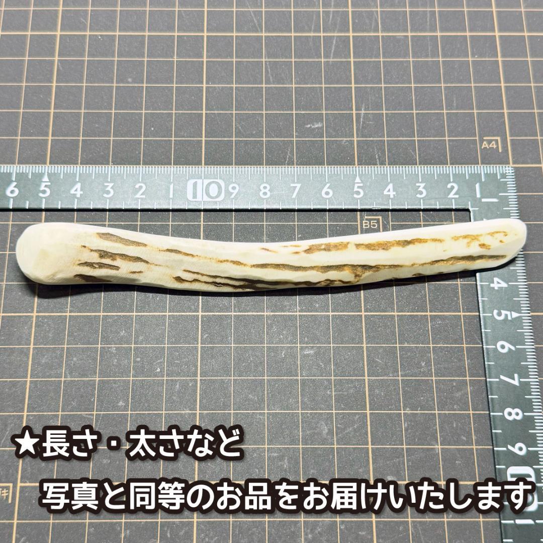 【エゾ鹿角】　端材MIX 9.6㎏　No.0125 エゾ鹿角 先端（極小） 10本セット No.0141 - メルカリ