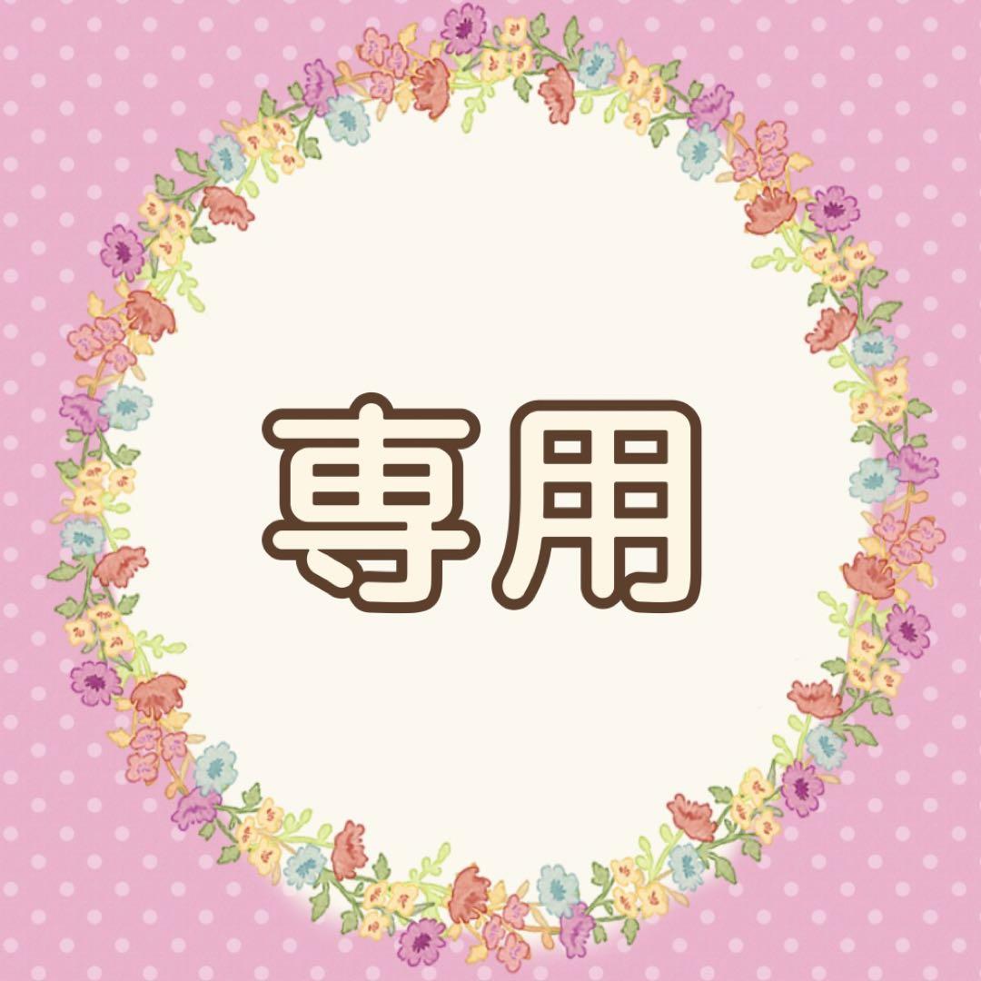 国内発送 うさこ♡*プロフ必読！様 メルカリ - 専用 アクセサリー
