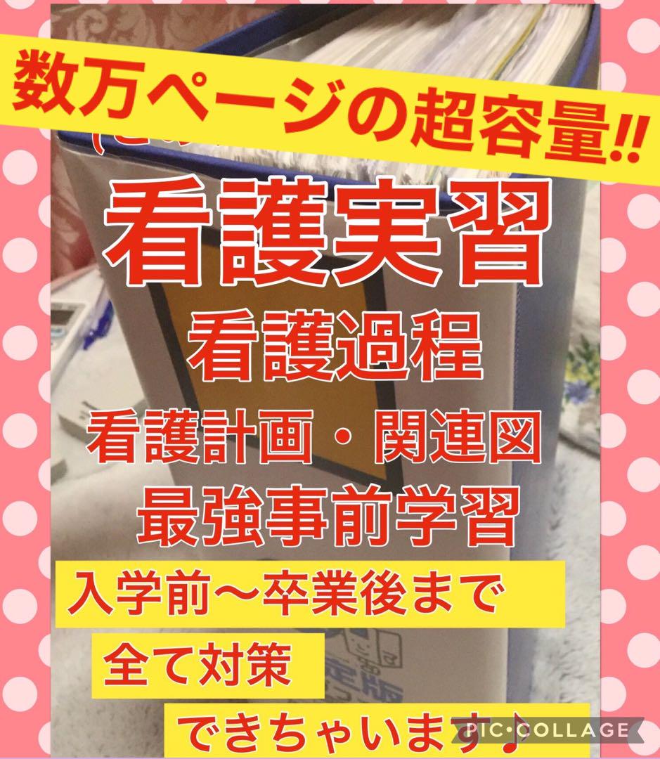 専用 看護学生 看護実習 手順書 計画 関連図 アセスメント 実習記録 国家試験 看護 実習 手順書 計画 関連図 アセスメント 国試 看護計画
