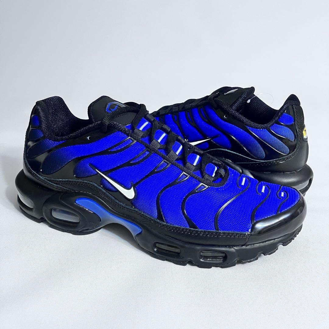 NIKE ナイキ AIRMAX PLUS エアマックス プラス　マップラ