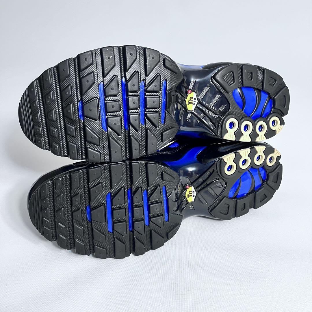 NIKE ナイキ AIRMAX PLUS エアマックス プラス　マップラ