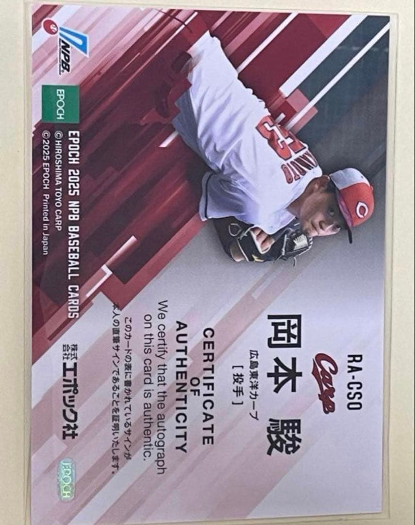 2025 広島東洋カープ 岡本駿目立った傷や汚れなし UP786_INFO