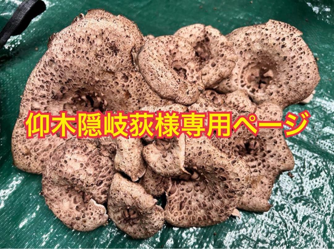 仰木隠岐荻様専用ページ