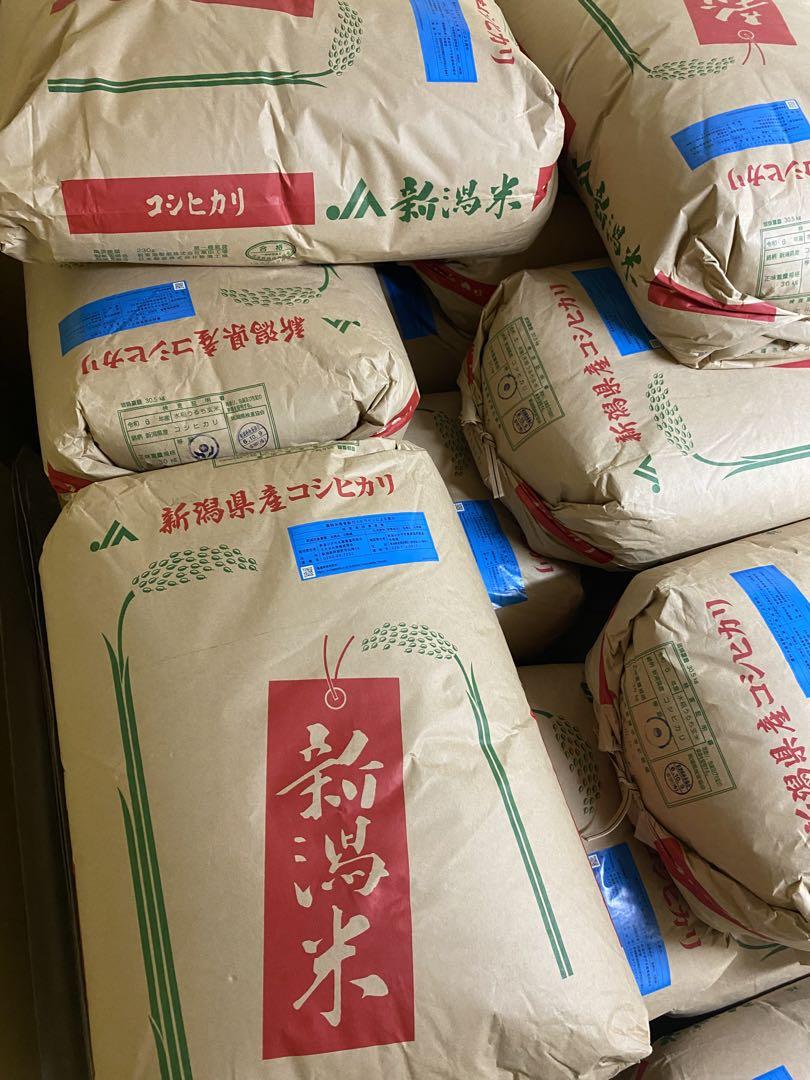 新潟県産コシヒカリ1袋30kg 特別栽培米を2袋　玄米