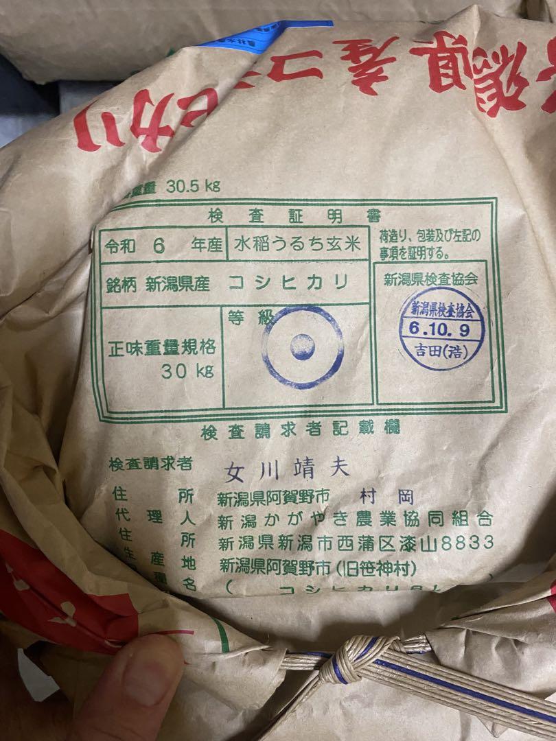 新潟県産コシヒカリ1袋30kg 特別栽培米を2袋　玄米