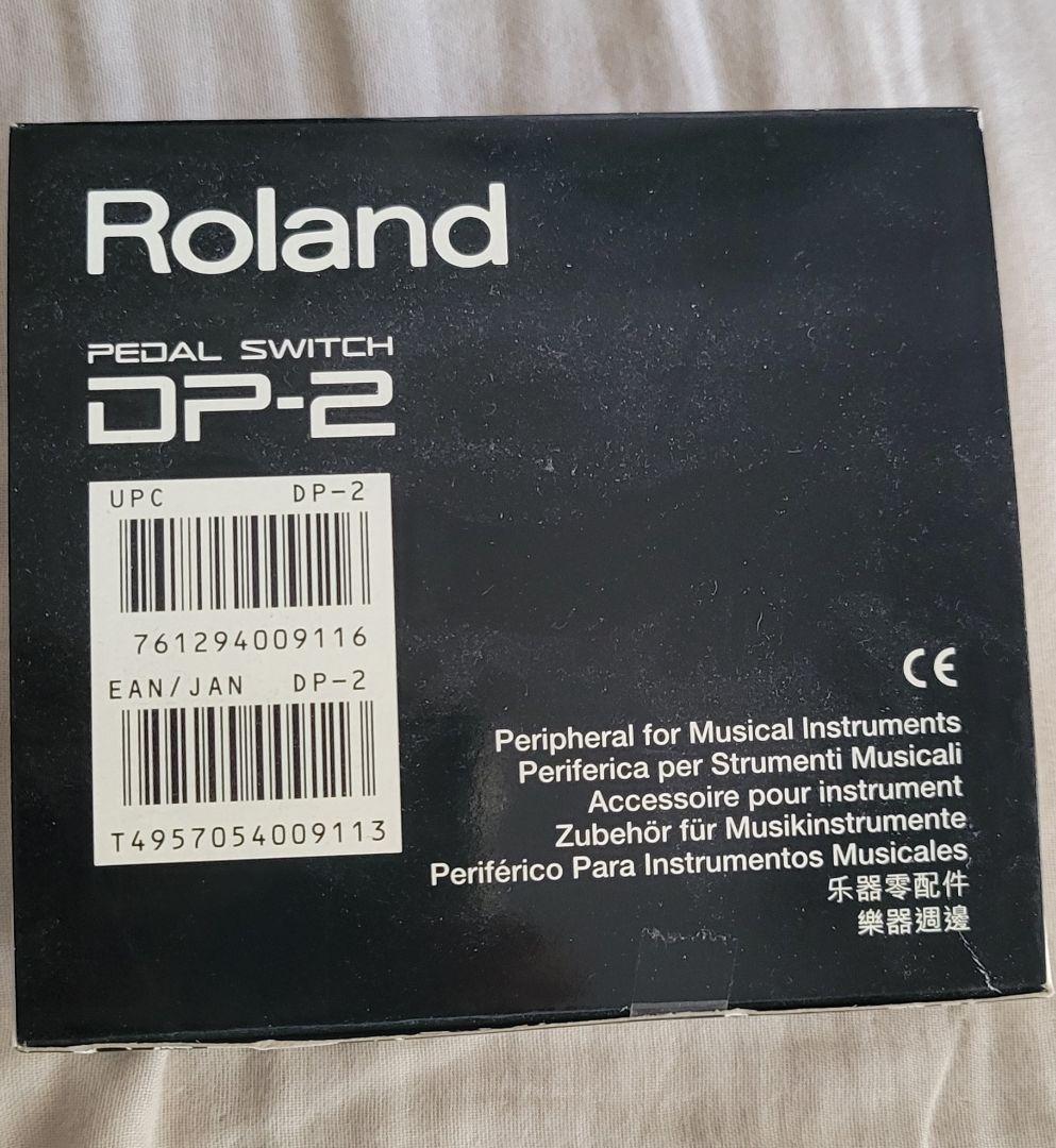 Roland GO-61P キーボード DP-2ペダルスイッチ付き