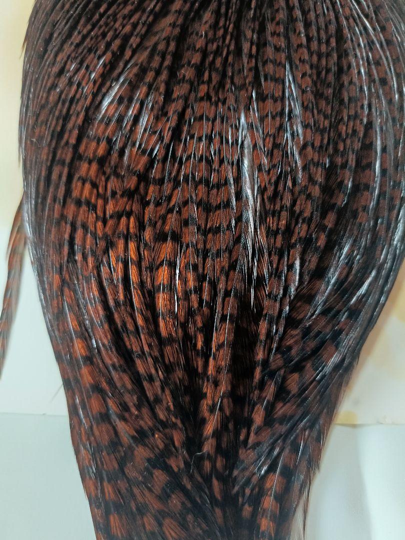 ②Hoffman Dry Fly Hackle グレード1