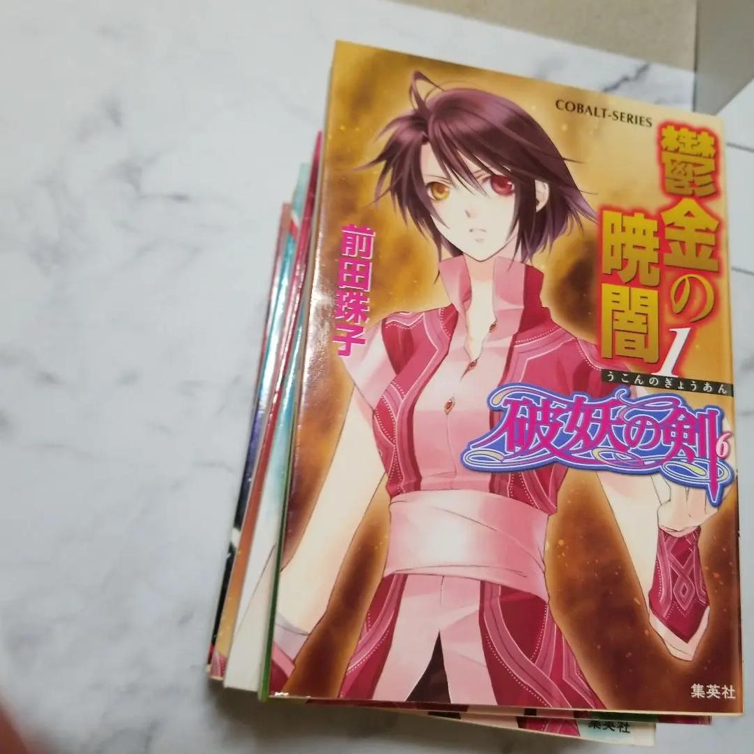 魔道祖師 小説 (英訳) Vol. 5 (Special Edition)