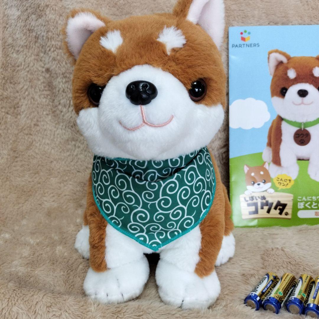 こんにちワン！しばいぬコウタ