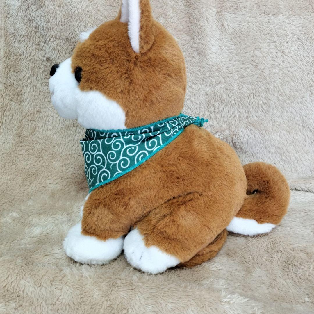 こんにちワン！しばいぬコウタ