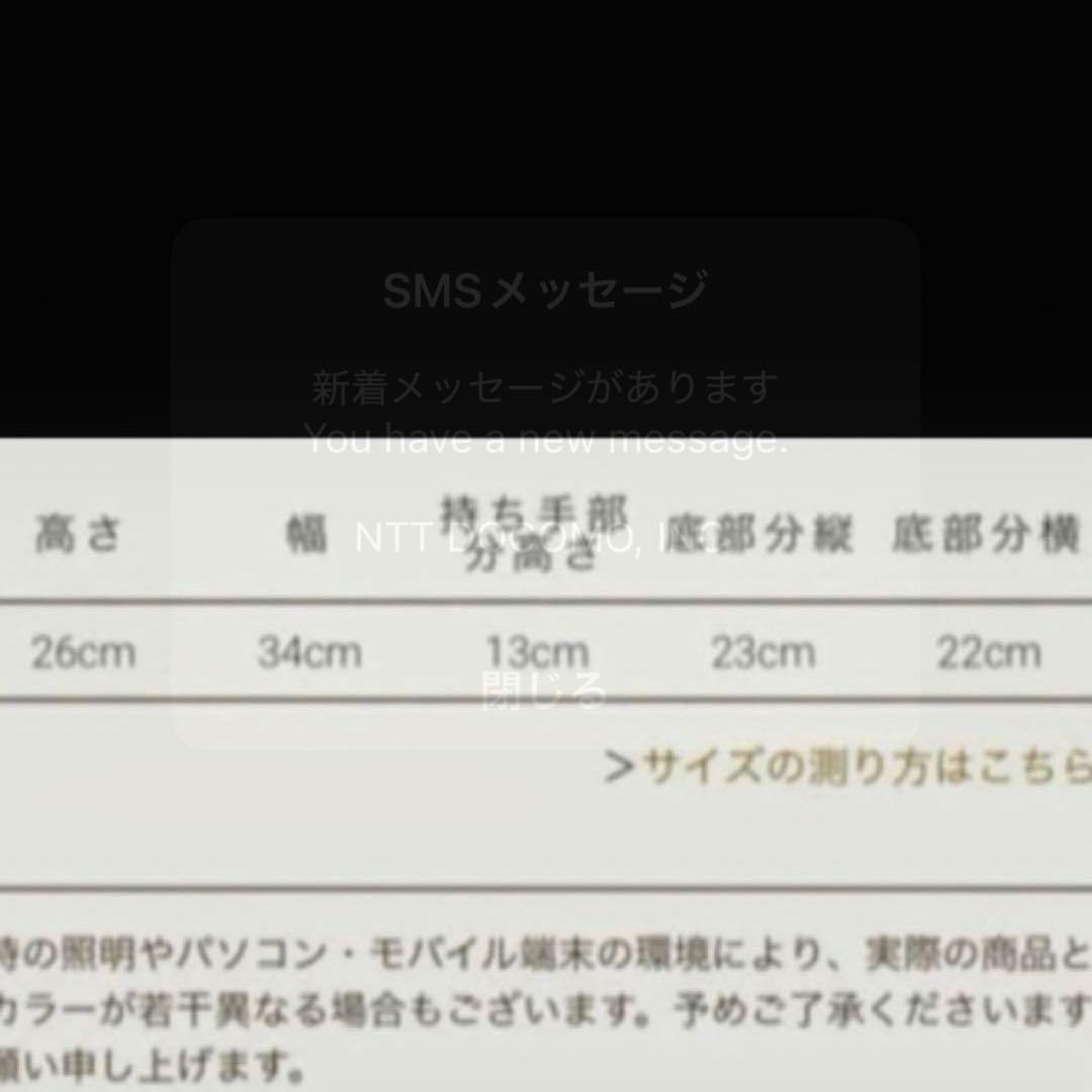 レディースカゴバック　大人気カゴバッグ　おしゃれバック　夏バッグ　辺見えみりバッ レディースカゴバック 大人気カゴバッグ おしゃれバック 夏